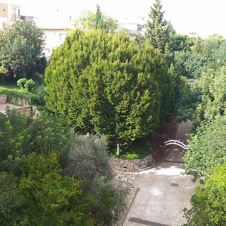 Ricci *